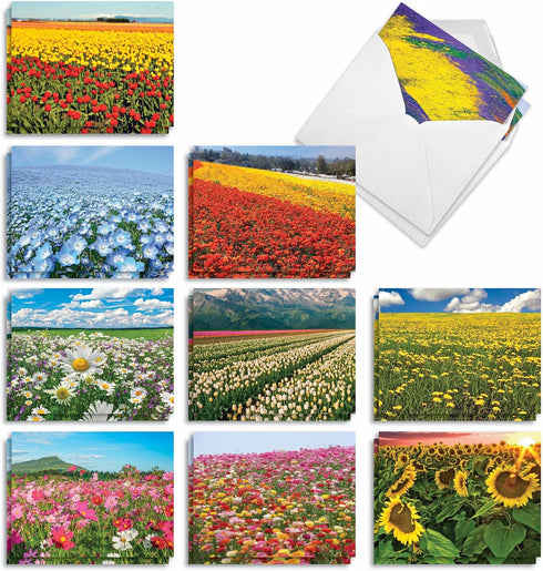 The Best Card Company - 20 Landscape Nature Note Cards Blank (4 x 5.12 Inch) (10 Designs, 2 Each) - Super Blooms AM7175OCB-B2x10...