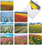The Best Card Company - 20 Landscape Nature Note Cards Blank (4 x 5.12 Inch) (10 Designs, 2 Each) - Super Blooms AM7175OCB-B2x10...
