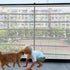 Banister Guard-10ft X 3ft Thick Balcony Safety Net for Kids Pet Balcony Guard Balcony Netting for Pets Rail Net for Balcony Apartment Cat Netting ...