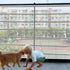 Banister Guard-6.5ft X 3ft Thick Balcony Safety Net for Kids Pet Balcony Guard Balcony Netting for Pets Rail Net for Balcony Apartment Cat Netting...