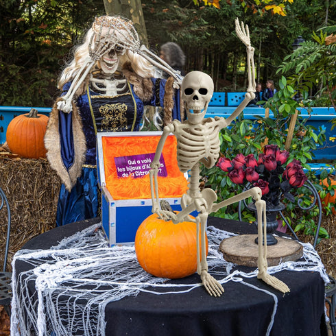 16" Halloween Skeleton Decorative,Spooky Lawn & Haunted House Props with Posable Joints,Full Body Skeleton for Yard Garden Lawn Graveyard Props De...