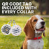 Rolled Leather Dog Collar Soft Round Collars, ID Tag for Small Medium Large Dogs (7-10 inch, Brown)...