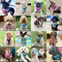 Dog Harness with Leash Set, No Pull Adjustable Reflective Step-in Puppy Harness with Thickened Padded Vest for Extra-Small/Small Medium Dogs...