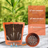 Flower Pot Hole Mesh Pad, 10 PCS 11.8x7.8 Inch Pot Bonsai Mesh Drainage Screens Plant Pot Drainage Mesh...