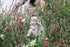 Decorative Angel Garden Stakes Miniature Angel Fairy Garden Angel Small Memorial Statue...