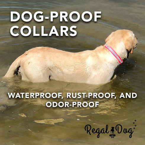 Regal Dog Products Large Red Heavy Duty Reflective Dog Collar with Durable Metal Buckle and D Ring Adjustable, Chew Proof & Waterproof Center Ring...