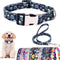 Dog Collar and Leash Set for Daily Outdoor Walking Running Training,Design for Large Boys Girls Dogs Cats Pets(L)...