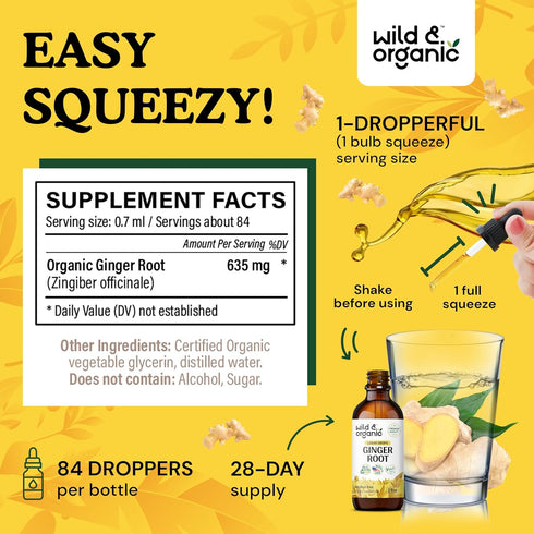 Ginger Liquid Extract - Organic Ginger Root Drops - Ginger Supplements for Digestive Support - Vegan, Alcohol Free Tincture - 2 fl oz...