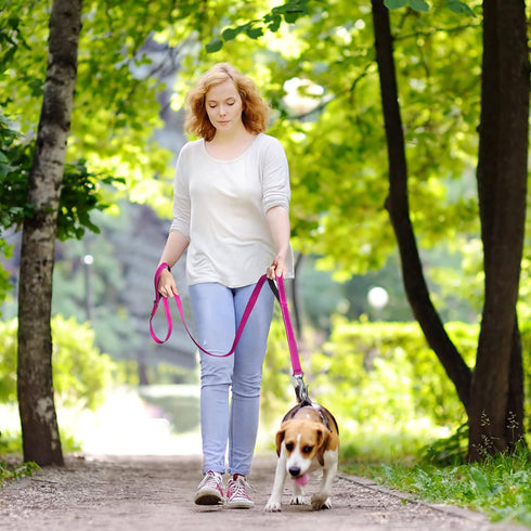 Fida 6 FT Heavy Duty Dog Leash with 2 Comfortable Padded Handles, Traffic Handle & Advanced Easy Snap Hook, Reflective Walking Lead for Large, Med...