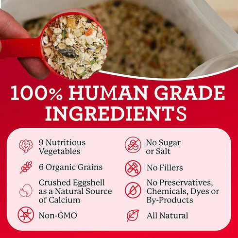 Dr. Harvey's Canine Health Miracle Dog Food, Human Grade Dehydrated Base Mix for Dogs with Organic Whole Grains and Vegetables (Trial Size 6.5 Oz)...