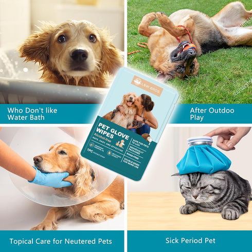 L&W BROS. Dog Wipes Gloves 6 PCS Individually Packaged, Flush-Free, Alcohol-Free, and for Convenient Grooming Cleaning Deodorizing Hypoallergenic ...