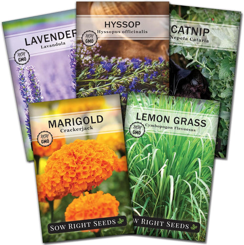 Sow Right Seeds - Insect & Pest Repellent Seed Collection for Planting - Lavender, Catnip, Marigold, Hyssop & Lemon Grass - 5 Packets with Instruc...