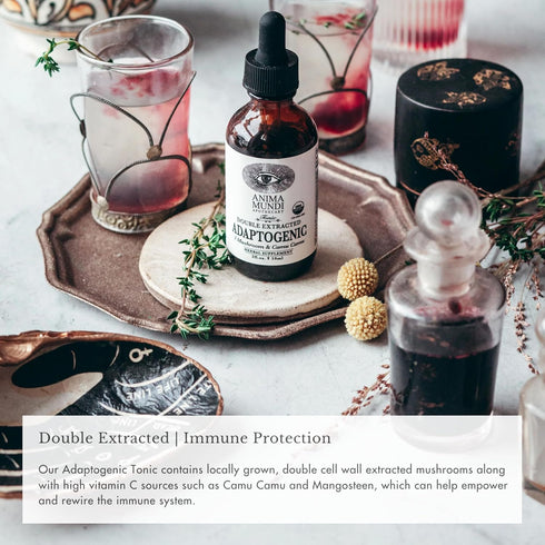 Anima Mundi Apothecary Adaptogenic 7 Mushroom Drops - with Organic Mushroom Extracts - Liquid Immune Support Tincture with Reishi, Lion's Mane, Co...