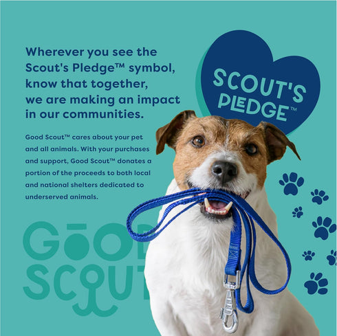 Good Scout Cage Ball Dog Fetch Toy, Indoor and Outdoor Rubber Dog Toy for Medium and Large Dogs...