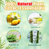120 Pcs Mosquito Repellent Incense Sticks Outdoor Patio, Citronella Repellent Incense Sticks Coils Outdoor, Natural Plant Bug Repellent for Patio,...