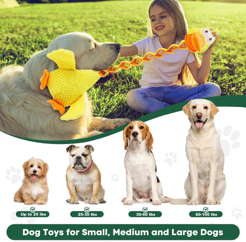 Sturdy and Durable Duck Dog Toy for Chewy Dogs, with Crinkle Paper and Squeaker, Large Dog Interactive Tug-of-War Dog Toy, Keeps Busy, Suitable fo...