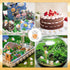 35 Pcs Mini Cow Figurines Mini Resin Cows Forest Animals Figures Miniature Resin Cows Animal Figurines Set Tiny Resin Animals Fairy Garden Accesso...