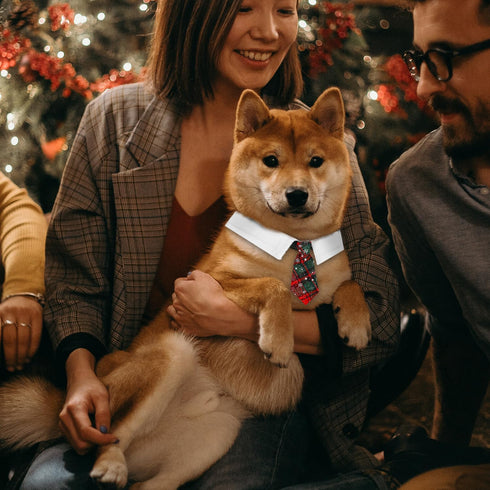 Christmas Dog Necktie, Classic Red Green Plaid Christmas Dog Collar Pet Tuxedo Style Dog Ties Comfortable Christmas Pet Collars for Small, Medium,...