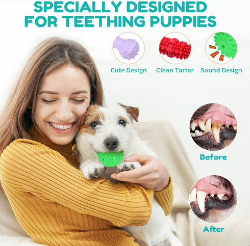 Puppy Chew Toys for Teething, Puppy Toys 6 Pack, Dog Toys for Small Dogs, Squeaky Dog Toy, Puppy Teething Toys for Teeth Cleaning & Gum Massage, A...