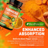 Turmeric Curcumin 1965mg with Ginger & BioPerine Black Pepper Extract - High Absorption 95% Curcuminoids for Joint & Antioxidant Support - Non-GMO...
