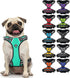 CollarDirect No Pull Reflective Dog Harness with Handle and Front Clip, Adjustible Soft Padded Vest for Small to Large Dogs Training and Walk (Siz...