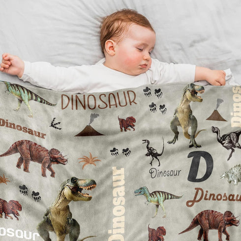 Dino Baby Blanket for Kids, Grey Wild Dinosaur Blankets for Toddler Boys, 40x50 Inches Dinosaur Baby Kids Blanket, Soft Fleece Tanystropheus Throw...