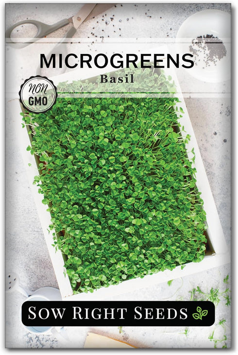 Sow Right Seeds - Sweet Basil Microgreen Seed for Growing - Instructions to Quickly Grow Your Own Delicious & Healthy Microgreens - Plant indoors ...