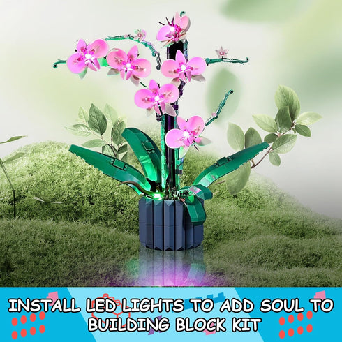 LED Light Kit for Lego 10311 Orchid Plant Decor Set, Compatible with Lego 10311 Building Blocks Model(Not Include Blocks Set)...