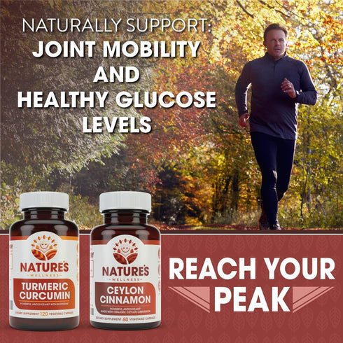Natures Wellness Organic Ceylon Cinnamon - 1200 mg | Powerful Antioxidant | Maintains Joint Health and Mobility | Non-GMO | 60 Veg Capsules...