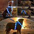 Light Up Dog Harness, Reflective Led Dog Harness Glow-in-The-Dark for Night Walking, USB Rechargeable Lighted Dog Safety Vest for Medium Dogs, Adj...
