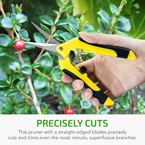 iPower 6.5 Inch Gardening Scissors Hand Pruner Pruning Shear with Straight Stainless Steel Blades, Yellow, 2-Pack...