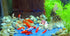 Resin Sleeping Little Mermaid Statue for Miniature Fairy Garden and Aquarium Decorations...