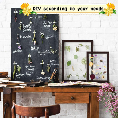 Nuanchu 167 Pcs Real Dried Pressed Flowers Natural Dried Flowers Colorful Daisy Mixed Wildflowers Leave for DIY Candle Resin Nails Jewelry Pendant...