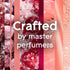 Glade PlugIns Refills Air Freshener, Scented and Essential Oils for Home and Bathroom, Crisp Cranberry Champagne, 3.35 Fl Oz, 5 Count...