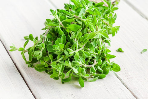 Sweet Marjoram Herb Seeds - Non-GMO 0.25g, Approximately 1000 Seeds...