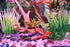 Artificial Fish Tank Plants, Plastic Aquarium Plants, 2 Pack, 9 inches High, Realistic & Non-Toxic & Safe for All Fishes (9 inches, Green)...
