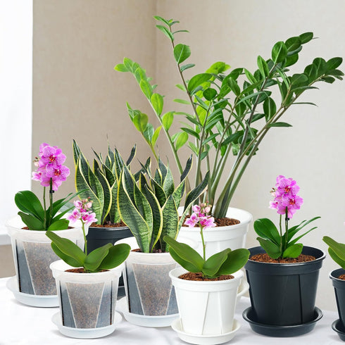 Plant Pots for Indoor Plants, 6 Pack 6.4/5.5/4.7in Clear Plastic Planter with Drainage Holes and Saucers for Orchid, African Violet, Spider Plant,...