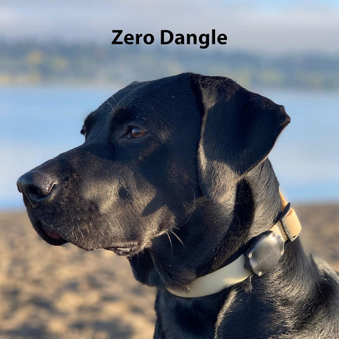 TagVault™ AirTag Dog Collar Mount - IP68 Waterproof, Doesn't Dangle, Fits All Width Collars | Elevation Lab...