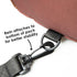 Diono Bear Character Kids Mini Back Pack Toddler Leash & Harness for Child Safety, with Padded Shoulder Straps for Child Comfort...
