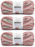 Bernat Softee Baby Jacquards Faded Blooms Yarn - 3 Pack of 4.2oz/120g - Acrylic - #3 DK (Light) - 287 Yards - Knitting, Crocheting & Crafts......