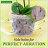 Orchid Breathable Slotted Clear Plastic Pot (4.5 inch (4 Pack))...