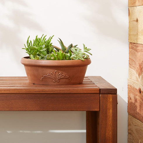 Arcadia Garden Products PSW Pot TA25TC Collection Shallow Bulb Pan Planter Dish Low Bowl for Succulents, Bonsai, Fairy Gardens, Herbs, 10-inch, Te...