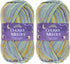 JubileeYarn Chunky Melody Yarn - 100g/Skein Bulky Wool Blend - Galapagos - 2 Skeins...