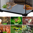 Reptile Substrate Liner Terrarium Carpet, Bearded Dragon Tank Accessories, Non-Adhesive Reptile Carpet Reptile Flooring Mat Bedding for Leopard Ge...