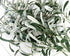 FiveSeasonStuff Lifelike Olive Branches – Premium 30-inch Faux Greenery with Realistic Gray-Green Leaves & Bendable Stems – 6 Stems for Home, Even...