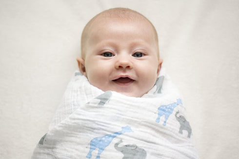 SwaddleDesigns Marquisette Receiving Swaddle Blanket for Baby Boys & Girls, Soft Premium Cotton Muslin, Best Shower Gift, Blue Safari Fun, Parent ...