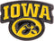 Desert Cactus University of Iowa Hawkeyes Lapel Pins Logo Enamel Made of Metal (Pin C)...