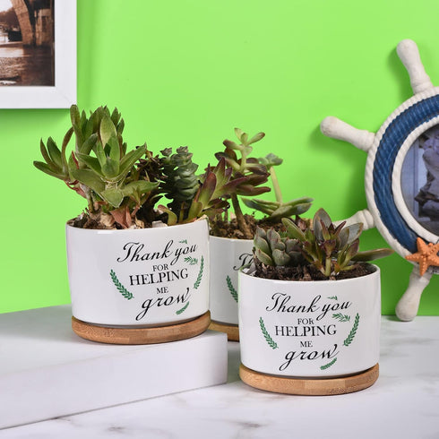 Teacher Appreciation Gift, Thank You for Helping Me Grow Ceramic Succulent Plant Pot Planter for Indoor Outdoor Use, Best Teacher Birthday Retirem...