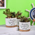 Teacher Appreciation Gift, Thank You for Helping Me Grow Ceramic Succulent Plant Pot Planter for Indoor Outdoor Use, Best Teacher Birthday Retirem...