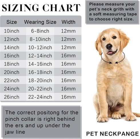 Gold Chain Dog Collar Link Dog Chain Metal Dog Chain Collars Dog Link Collar for Small Medium Large Dogs (14 Inch)...
